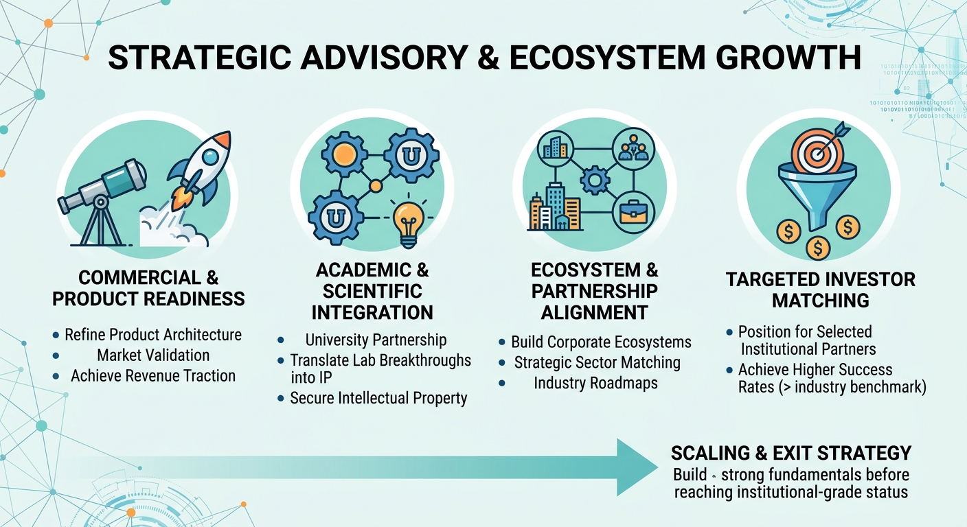 Strategic Advisory Beyond Traditional Venture Capital for Scale-Ups and Research Spin-Outs Andorra